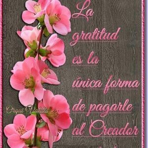 Meet your Posher, Dalila